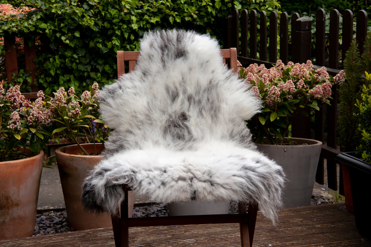 Large Sheepskin Rug - Rare Breed