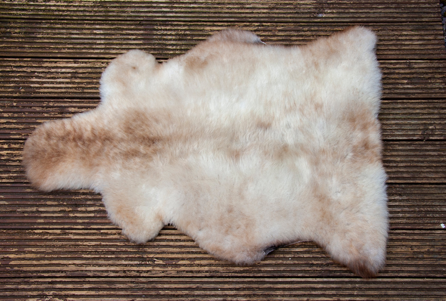 Large Sheepskin Rug - Rare Breed