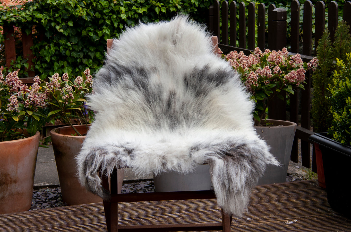 Large Sheepskin Rug - Rare Breed