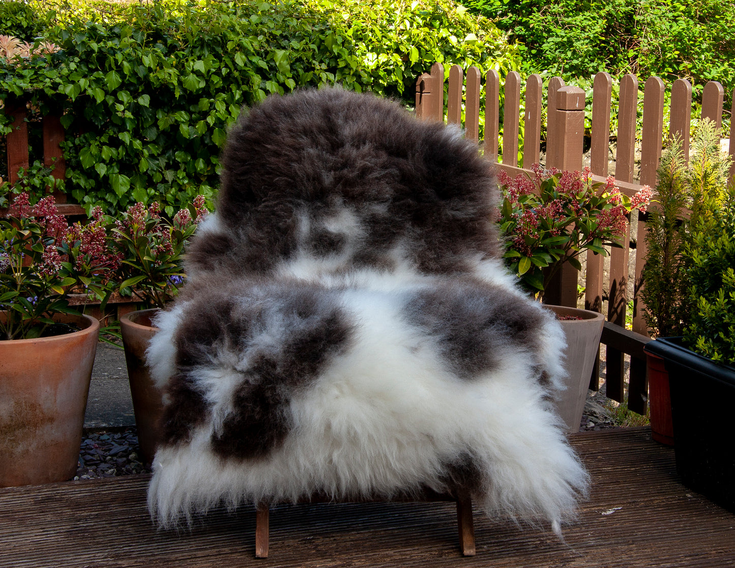 Large Sheepskin Rug - Rare Breed