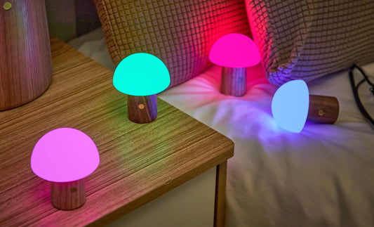 Super Mini Alice Mushroom Lamp